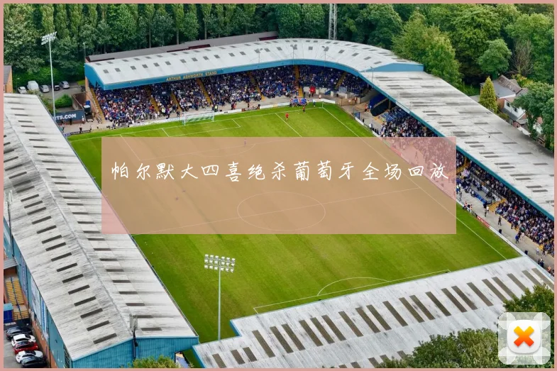 帕尔默大四喜绝杀葡萄牙全场回放
