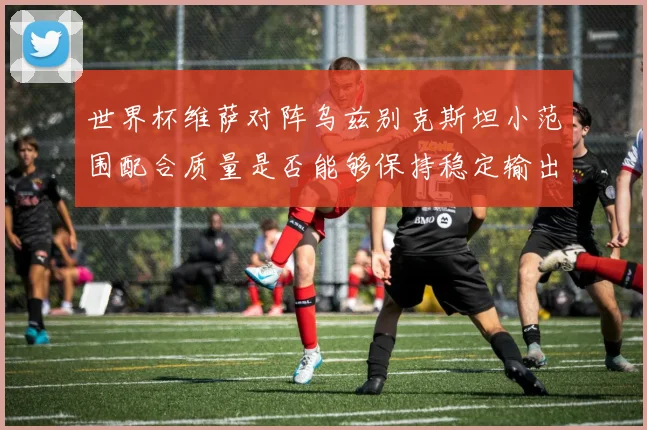 世界杯维萨对阵乌兹别克斯坦小范围配合质量是否能够保持稳定输出