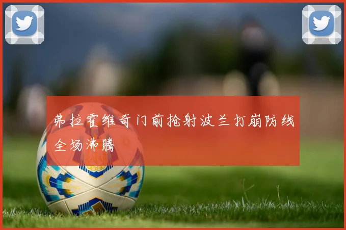 弗拉霍维奇门前抢射波兰打崩防线全场沸腾
