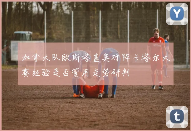 加拿大队欧斯塔基奥对阵卡塔尔大赛经验是否管用走势研判