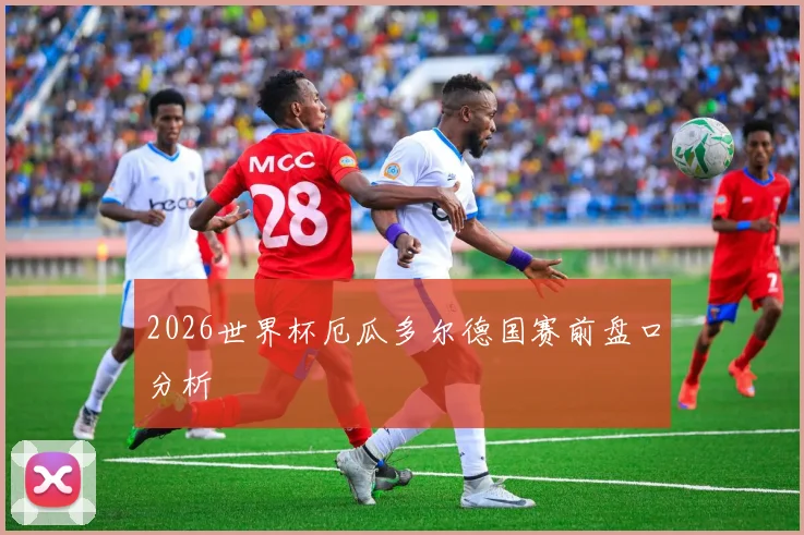 2026世界杯厄瓜多尔德国赛前盘口分析