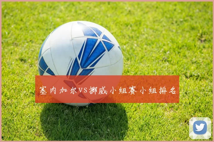 塞内加尔vs挪威小组赛小组排名