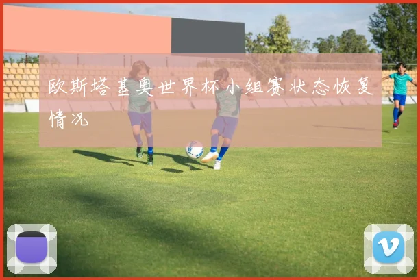 欧斯塔基奥世界杯小组赛状态恢复情况