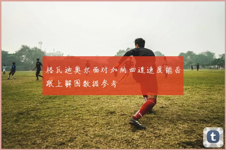 格瓦迪奥尔面对加纳回追速度能否跟上解围数据参考
