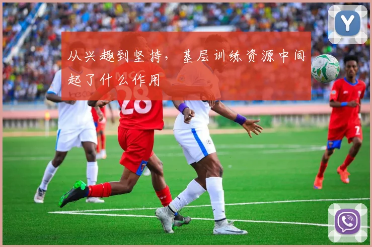 从兴趣到坚持,基层训练资源中间起了什么作用